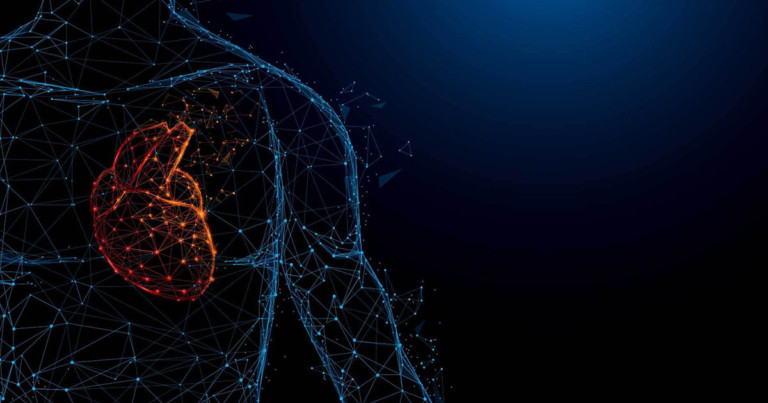 The 18 parts of the human heart, and their functions