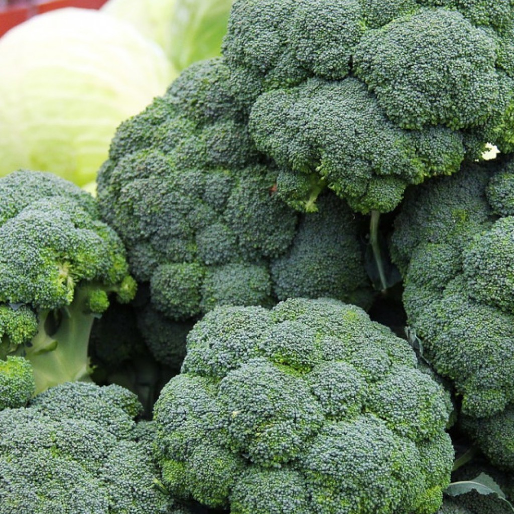Broccoli: 10 properties and benefits of this vegetable
