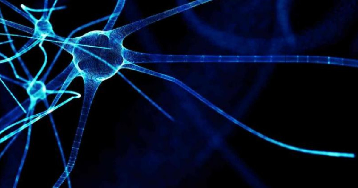 Cognitive Impairment in Multiple Sclerosis: Causes and Symptoms
