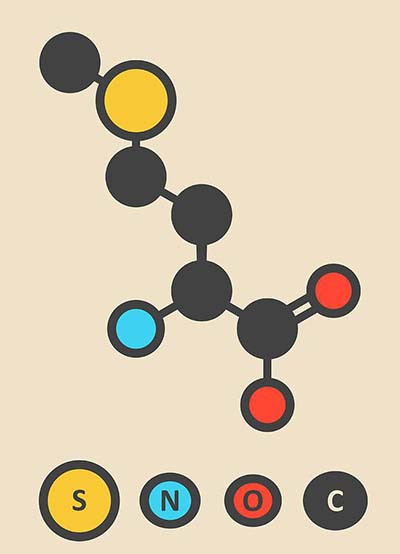 structure of methionine
