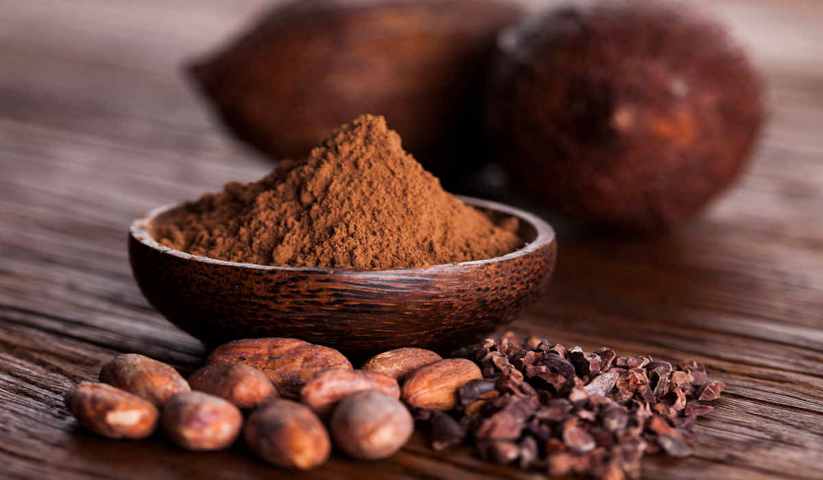 All the benefits of cocoa, properties and contraindications Wellnessbeam