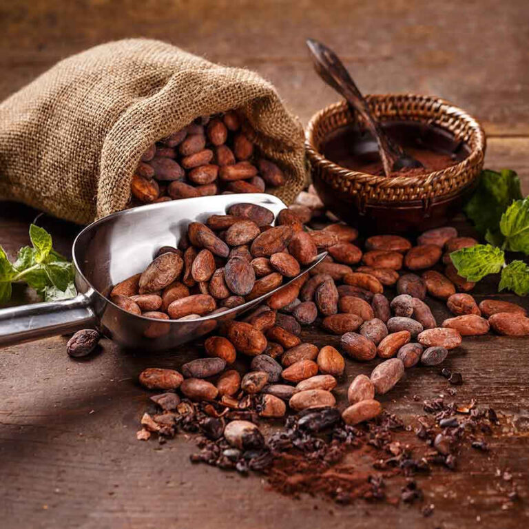 All the benefits of cocoa, properties and contraindications Wellnessbeam