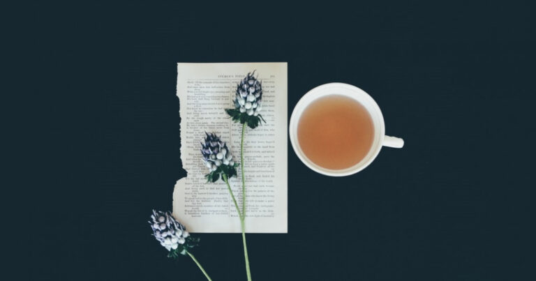 15 Types of Infusions: Characteristics and Benefits