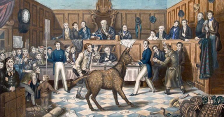 Animals on Trial: Unraveling a Bizarre Historical Practice