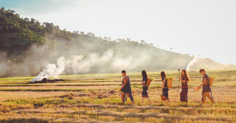 Explore the Core Principles of Structuralist Anthropology